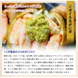 カニ かに 蟹 豪華 三大蟹セット (ずわい蟹...の詳細画像4