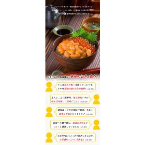うに いくら 醤油漬け ウニ イクラ 贅沢セッ...の詳細画像2