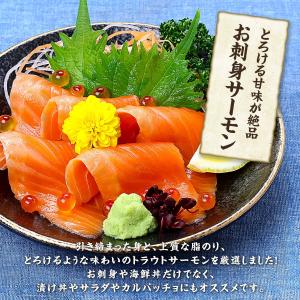 よりどりまとめ買いクーポンあり!選べる サーモ...の詳細画像3