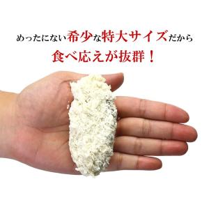 牡蠣 かき カキ 広島県産 かきフライ450g...の詳細画像2