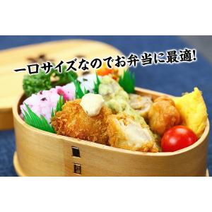 【揚げアゲフェア★対象商品3個で送料無料!】ホ...の詳細画像3
