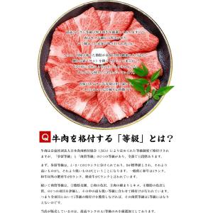 【モモ肉 賞味期限:2026/04/06まで】...の詳細画像2