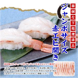 ジャンボサイズ11cm前後!!特大赤えび開きた...の詳細画像1