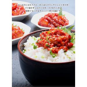 チャンジャ イカチャンジャ200g 韓国秘伝の...の詳細画像2
