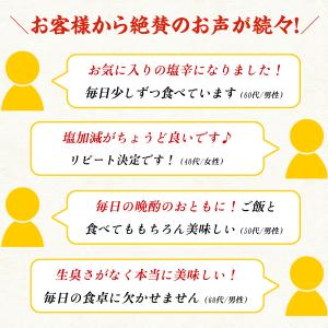 イカ いか【業務用】社長のいか塩辛300g お...の詳細画像5