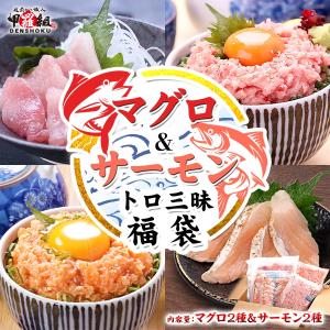 ★半額クーポンで13,500円⇒6,750円！さらに3人に1人本マグロの中トロが当たる！ マグロ ＆ サーモン トロ 三昧福袋 まぐろ さーもん ネギトロ 9月13日以降発送
