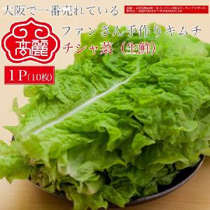 【冷蔵】チシャ菜（生鮮）焼肉をあっさり食べるサンチュ　シャキシャキおいしい