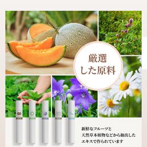 OiXi 加熱式 タバコ 交換用スティック 1...の詳細画像4