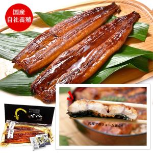 鰻の蒲焼 大サイズ 2尾セット(260g×2尾)...の商品画像