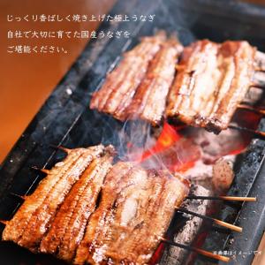 鰻の蒲焼 大サイズ 2尾セット(260g×2尾...の詳細画像2