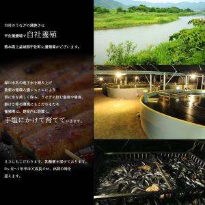 国産うなぎ2尾+1尾 送料無料 (90g〜10...の詳細画像2