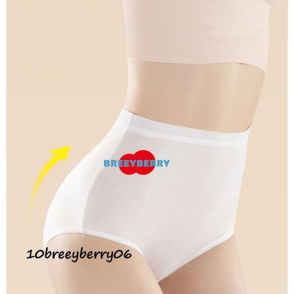 使い捨てパンツ 使い捨てショーツ 紙パンツ 使い捨て下着 レディース ハイウエスト 使い捨て ショー...