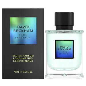 デヴィッド ベッカム DAVID BECKHAM インスティンクト