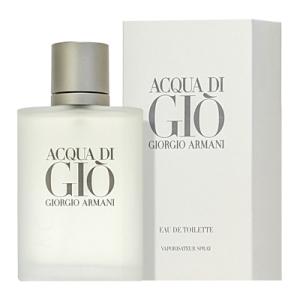 並行輸入品 ジョルジオ アルマーニ GIORGIO ARMANI アクア ディ ジオ プールオム オードトワレ EDT SP 100ml 【香水】【あすつく】