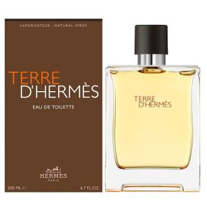 HERMES（エルメス） 並行輸入品 香水 テール ドゥ EDT SP 100ml