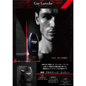 並行輸入品 ギ ラロッシュ GUY LAROC...の詳細画像1