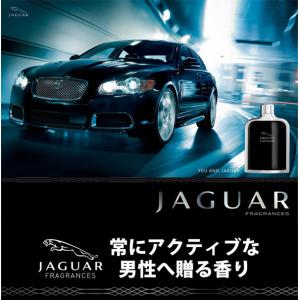 並行輸入品 ジャガー JAGUAR クラシック...の詳細画像1