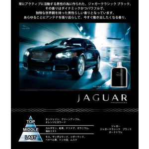 並行輸入品 ジャガー JAGUAR クラシック...の詳細画像2