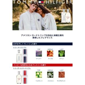 並行輸入品 トミー ヒルフィガー TOMMY ...の詳細画像1