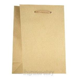 ショッピングバッグ プレゼント用ショッピングバッグ ベージュ ※包装なしバッグのみ etc 【即納】