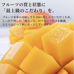 旬の高級果物を乗せたパンナコッタ「皓介のフルー...の詳細画像4