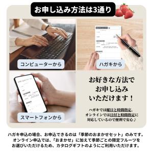【A4パネル イベント景品】フルーツのグルメチ...の詳細画像2