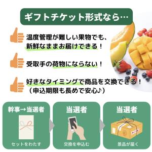 【A4パネル イベント景品】フルーツのグルメチ...の詳細画像4