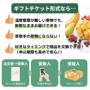 【ギフト用】フルーツのグルメチケット 琥珀コー...の詳細画像4