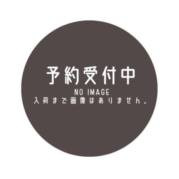 【8月予約】 名探偵コナン ぴょことも マスコット 安室＆沖矢 EX 2種セット
