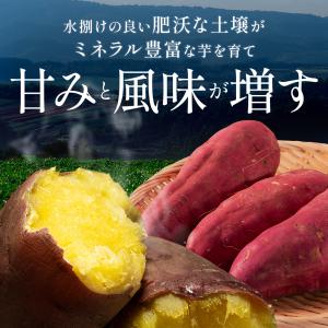 [べにはるか 平切り 140g×4袋] 幸田商...の詳細画像4