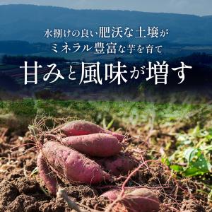 干し芋 [べにはるか 丸干し(小) 2.4kg...の詳細画像5