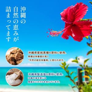 [塩と黒糖のタブレット 70g×3袋] 送料無...の詳細画像5