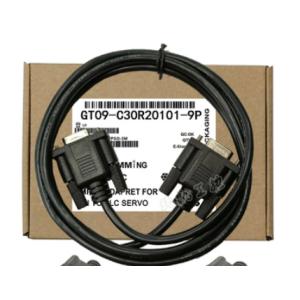 新品 GT09-C30R20101-9P