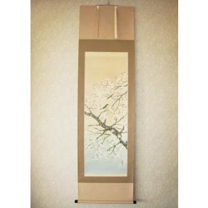 掛け軸 掛軸 桜に小鳥 浅井新明 (真作・新品) : 掛け軸の専門店 掛け軸 掛軸 桜に小鳥 浅井新明 (真作・新品) : 掛け軸の専門店