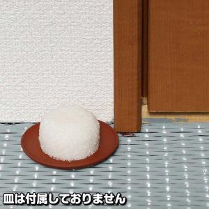 風水 盛り塩 やり方 玄関 お清めの塩 盛塩 ...の詳細画像3