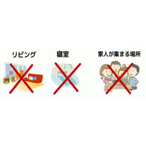 八卦 風水 魔除けグッズ 玄関 厄除けグッズ ...の詳細画像5