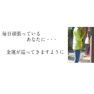 風水古銭 風水 財布 古銭 効果 金運アップ ...の詳細画像1