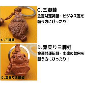 根付 木彫り 龍 ヒキュウ 三脚蛙 鯉 観音 ...の詳細画像2