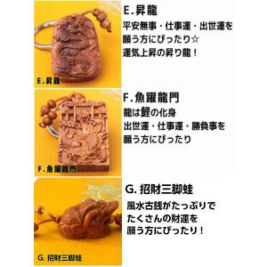 根付 木彫り 龍 ヒキュウ 三脚蛙 鯉 観音 ...の詳細画像3