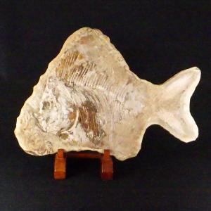 化石 魚類 魚 古代 パワーストーン 天然石 鑑...の商品画像