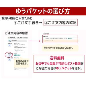 風水古銭 風水 財布 古銭 効果 金運アップ ...の詳細画像5