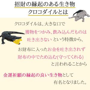 金運 開運 一粒万倍日 財布 風水財布2026...の詳細画像5