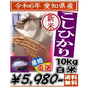 白米 こしひかり10kg 令和5年産 愛知県産　送料無料　一部地域は重量別特別送料が加算されます