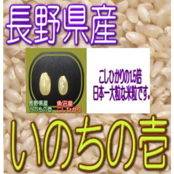 玄米 いのちの壱 2kg 令和5年産 長野県産　