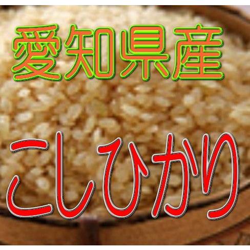 玄米 こしひかり 5kg令和4年産 愛知県産　　