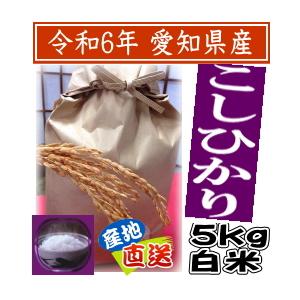 白米 こしひかり 5kg 令和5年産 愛知県産 　　