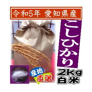 白米 こしひかり 2kg 令和5年産 愛知県産