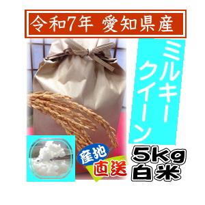 【令和7年】あいちのかおり　玄米　30kg あいちのかおり 令和7年愛知県産 30kg 玄米か26kg 白米 精米無料送料