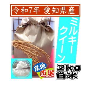 あいちのかおり 令和7年愛知県産 30kg 玄米か26kg 白米 精米無料送料 