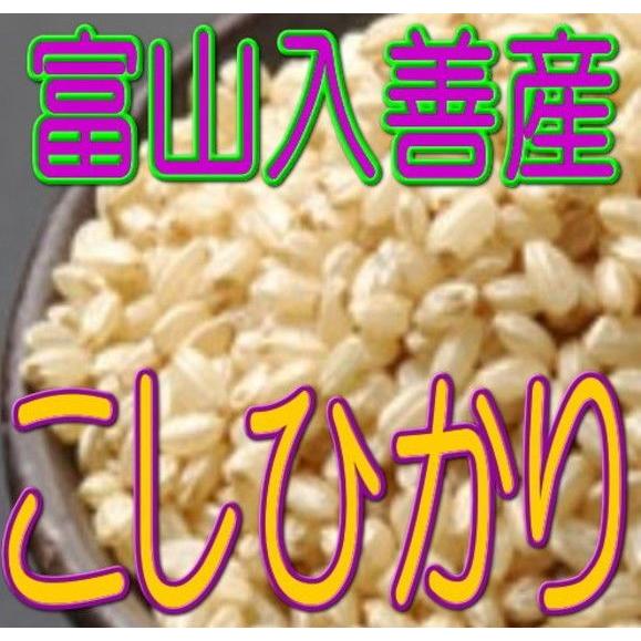 玄米 入善産こしひかり 2kg令和5年産 富山県産 　